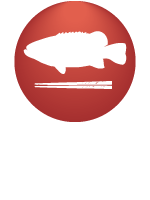Japanese Anglers Secrets